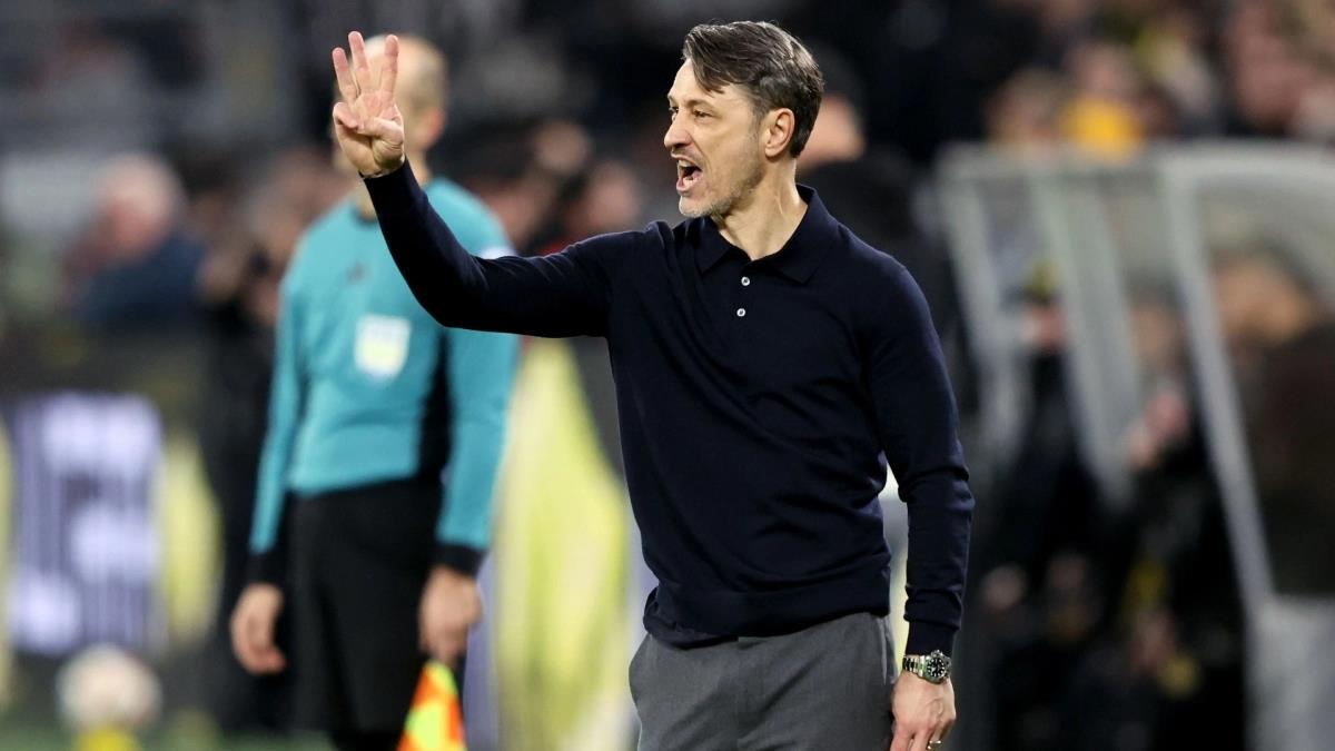 5381330044366176 image