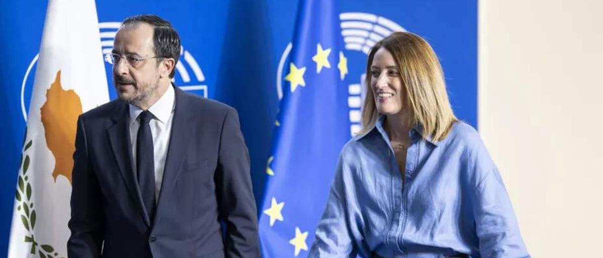 5381407858111054 cats