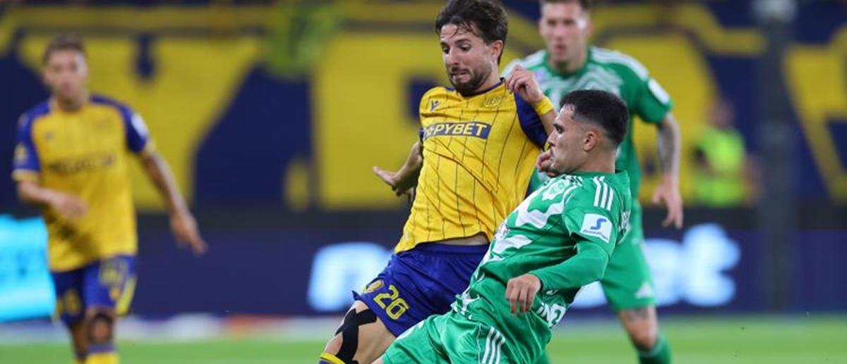 5381453504607115 cats