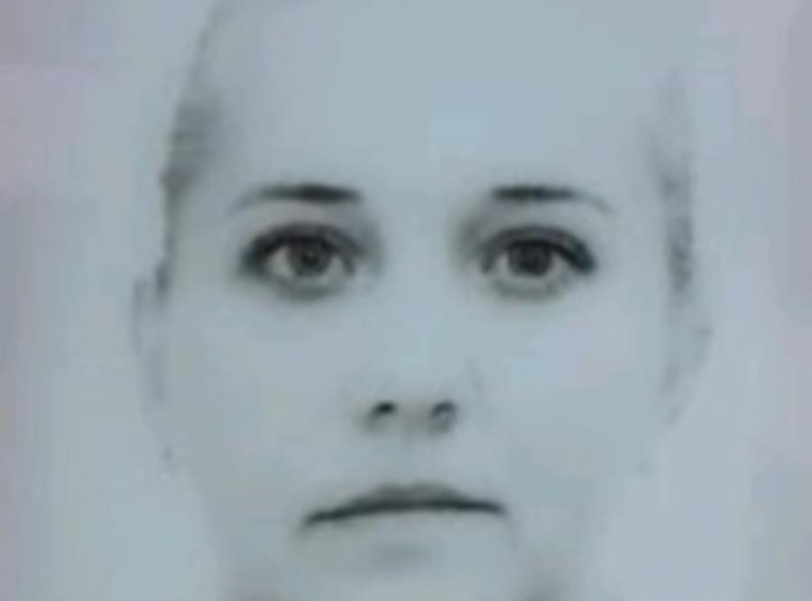 5381475589821278 cats