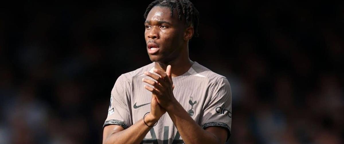 5381486365417945 cats