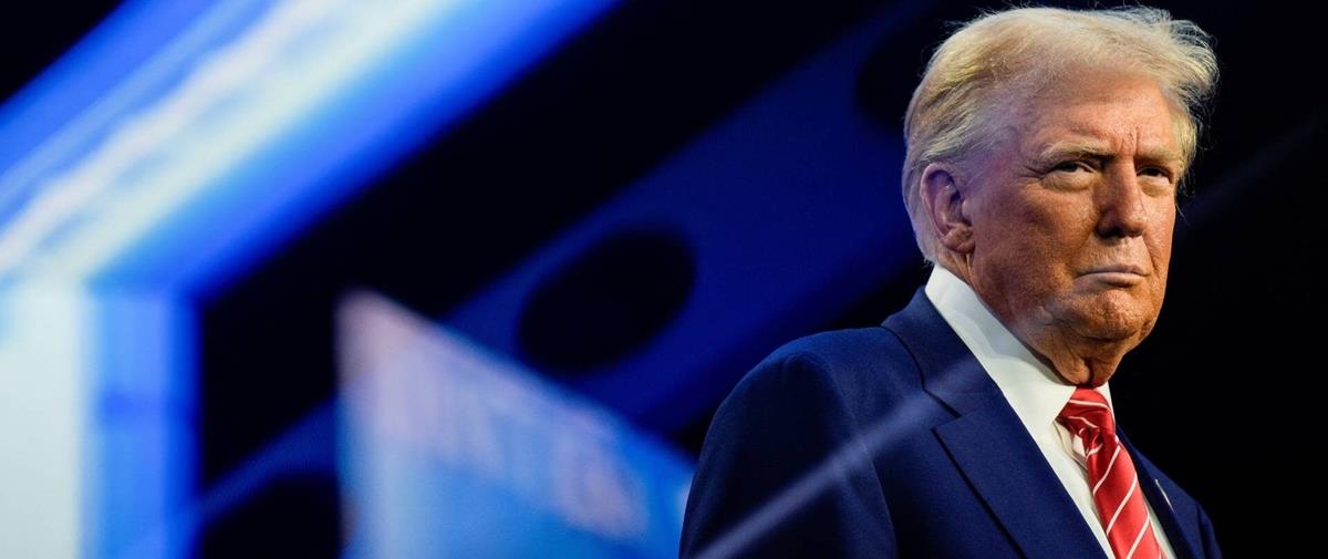 5381500317579527 cats