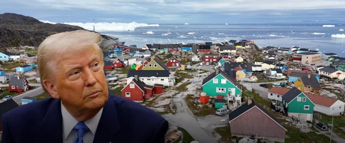 5381632229475612 cats