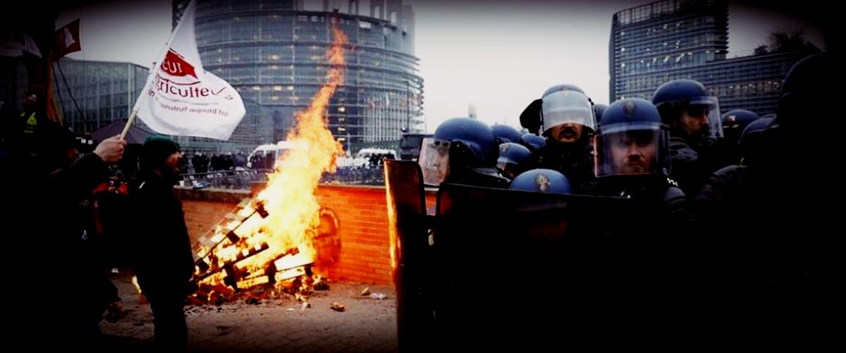 5381903931891901 cats