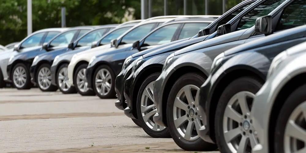 5382331753062123 cats