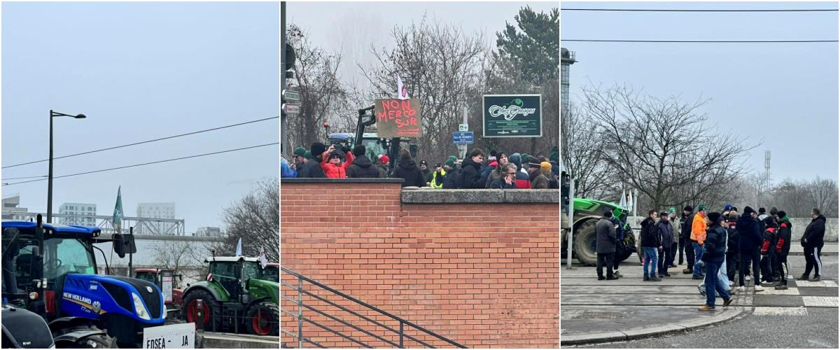 5382376733521480 agrotes