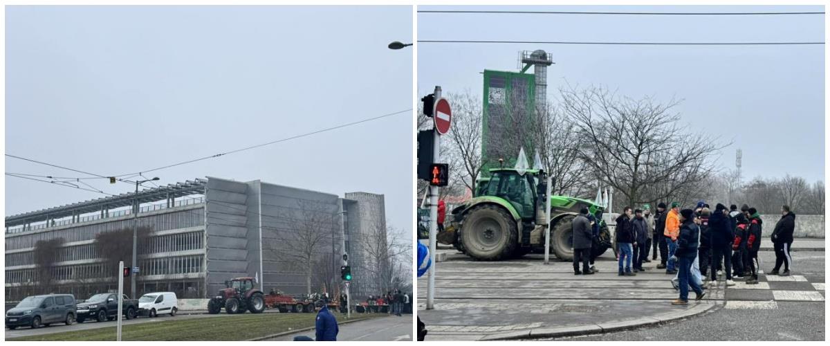 5382448763154147 collage