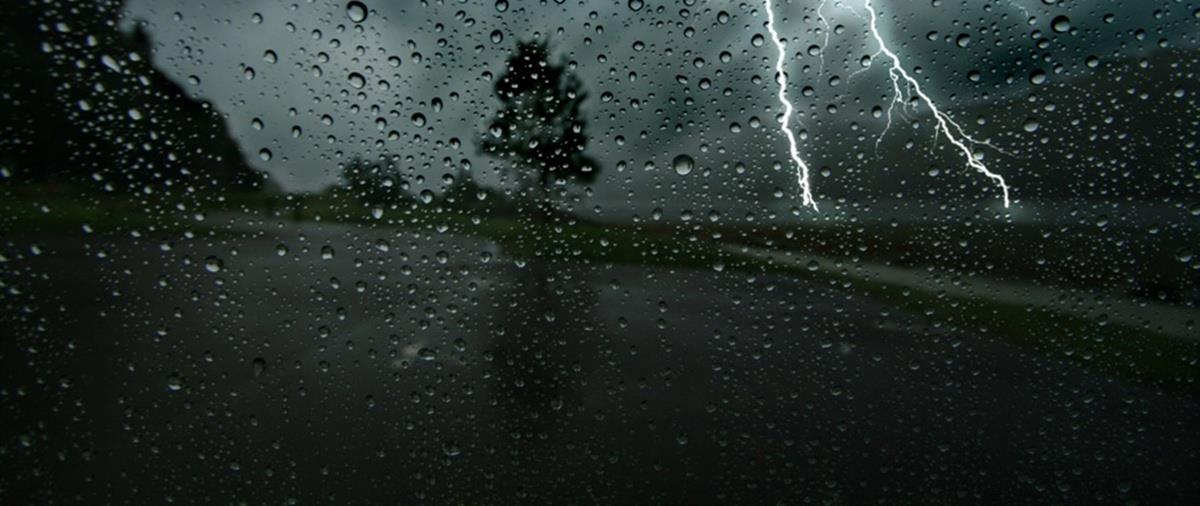 5383361100606158 cats