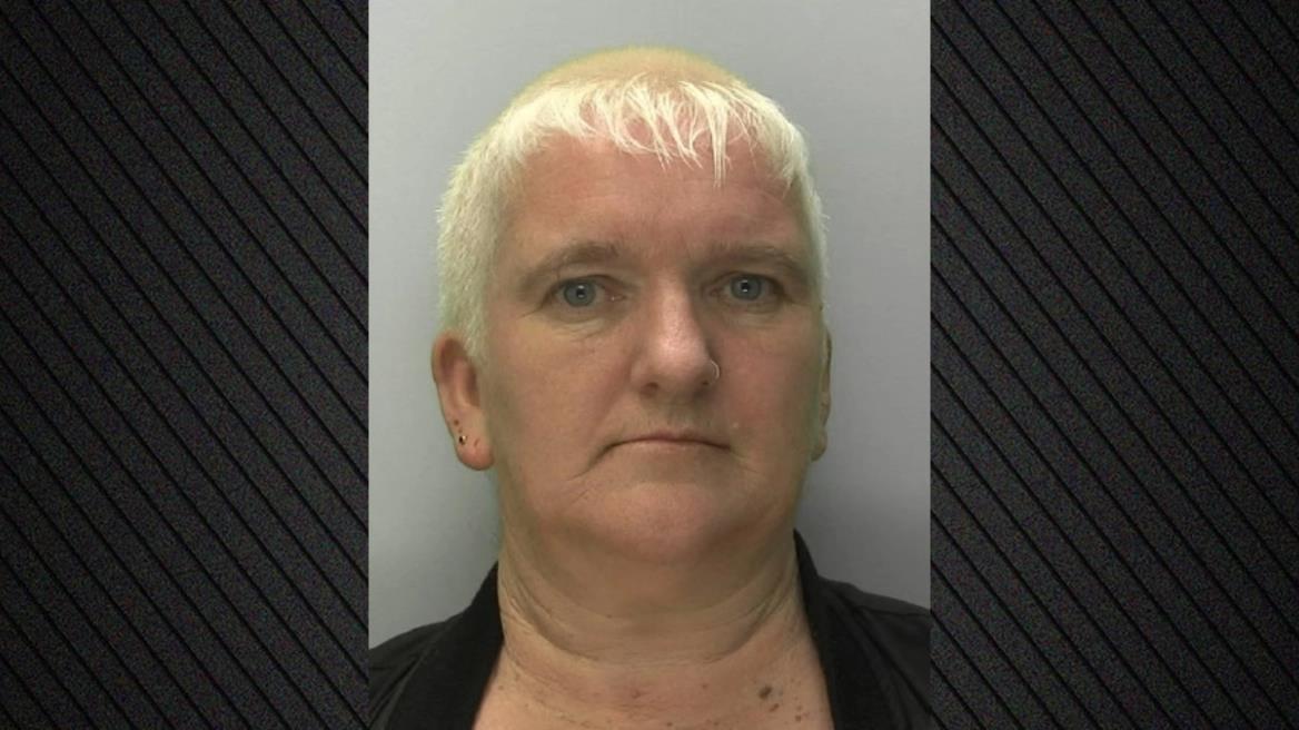 5383375416052544 image