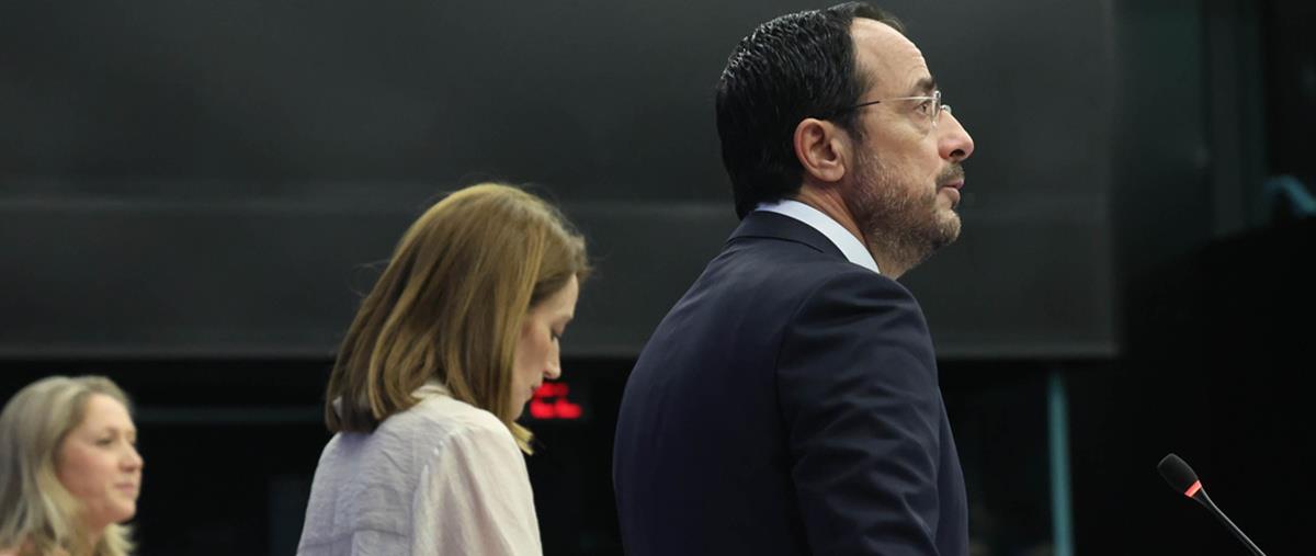 5383469138232267 cats