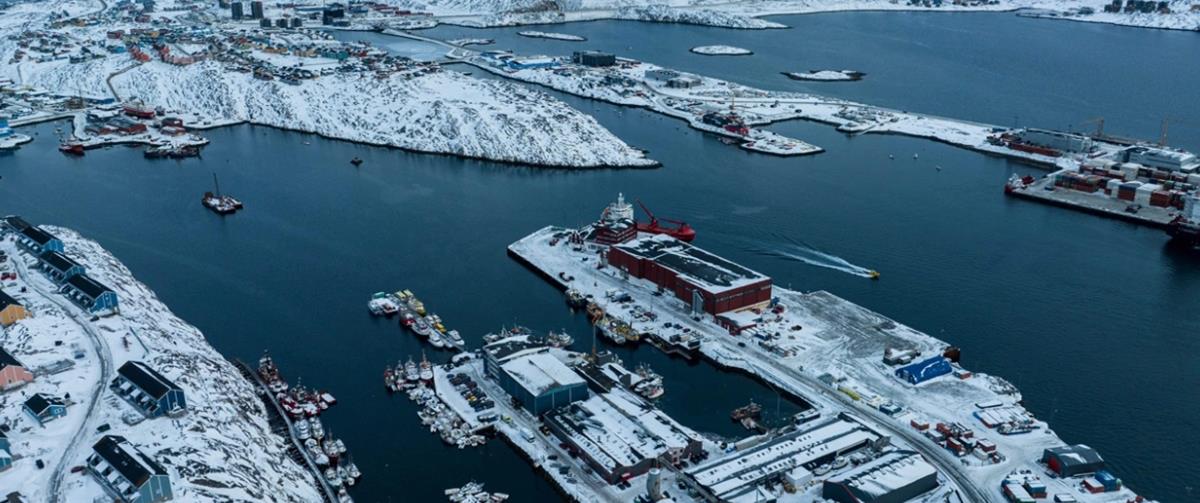 5383906691563765 cats