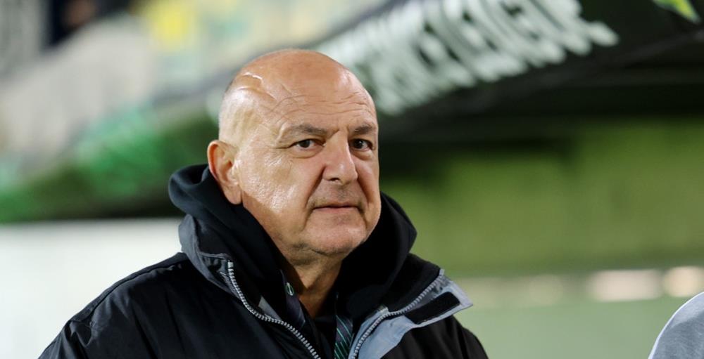 5384027095157203 cats