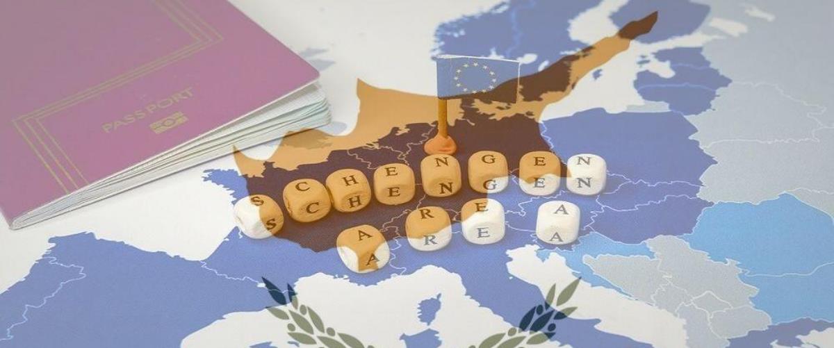 5384158094607671 image