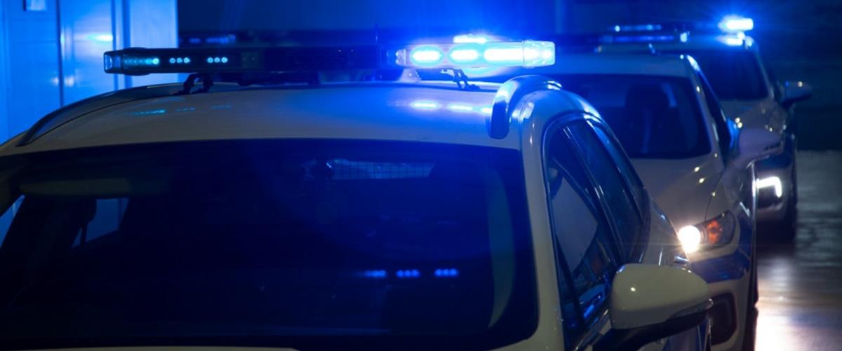 5384241911779425 peeripoliko