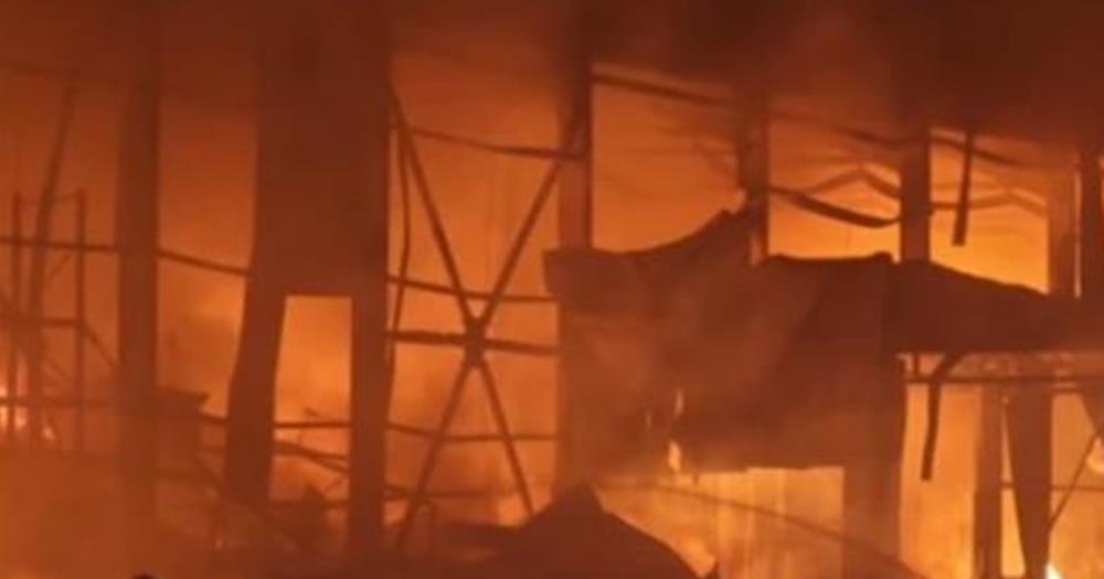 5386448302036475 cats