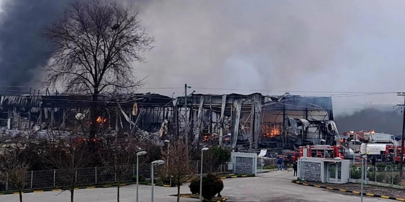 5386524250006550 image