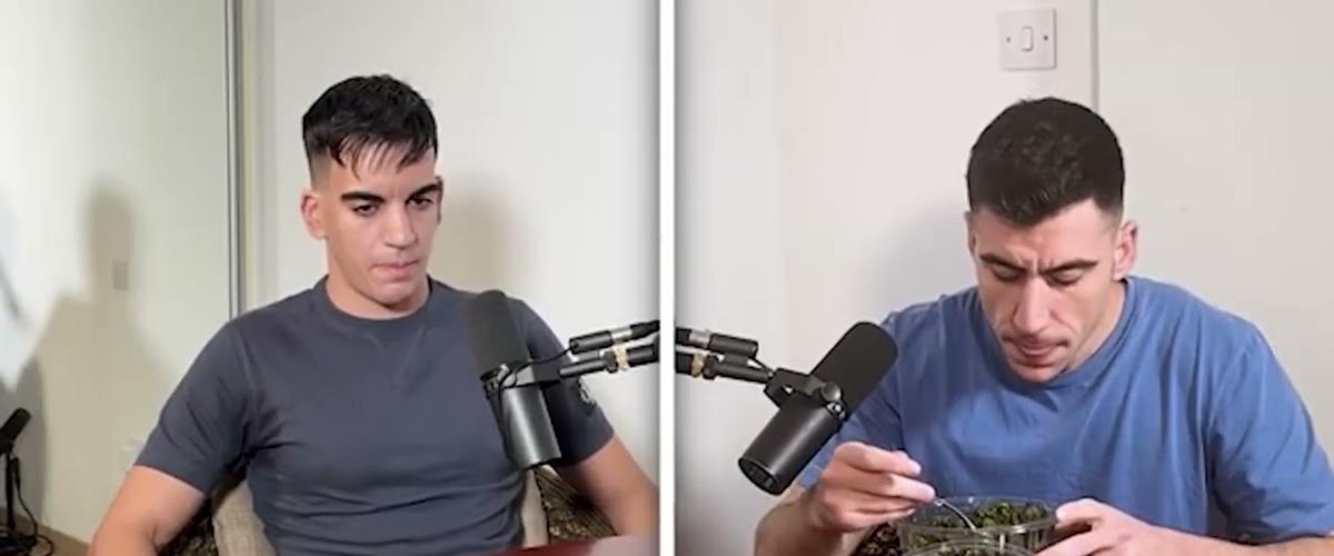 5386685840545389 cats