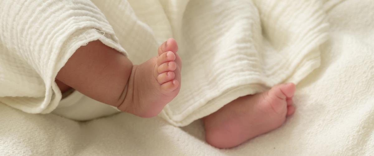 5387399774911966 vrefos-podarakia