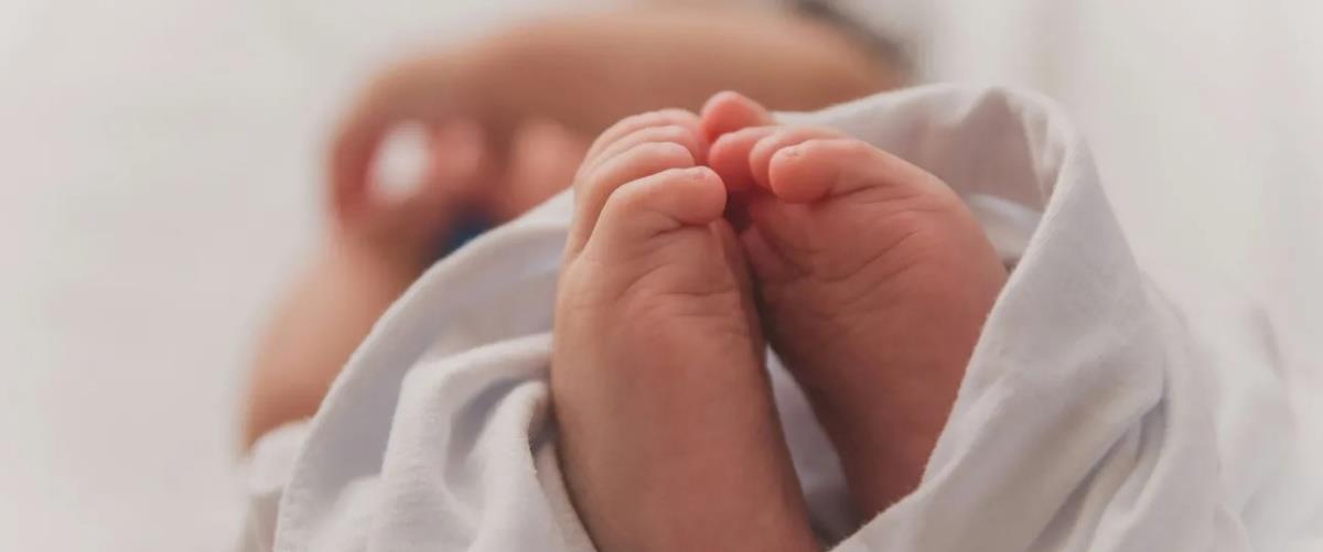 5387502535189128 vrefos