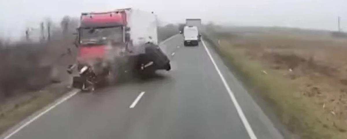 5387595837690107 cats