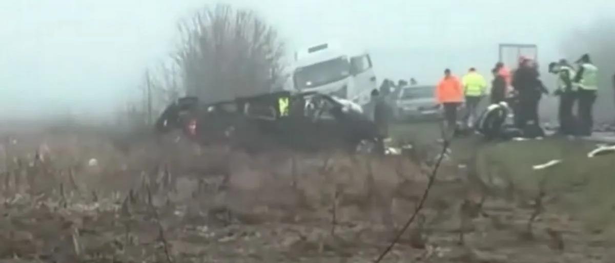 5387716907803253 cats