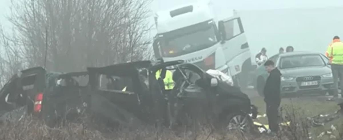 5388184604911065 cats