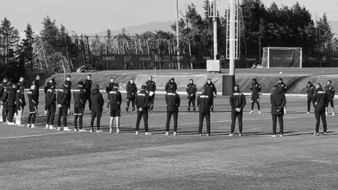 5388334730730927 image