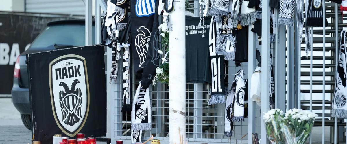 5388678919009856 image