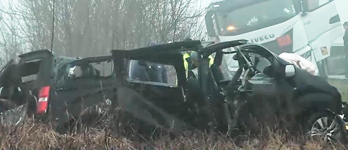 5389044664669035 cats