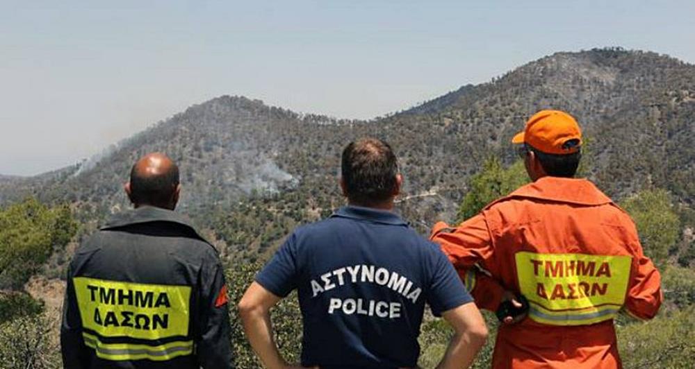 5389120066274410 cats