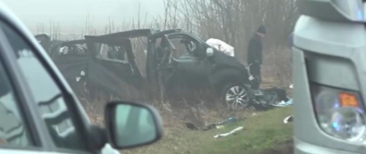 5389201325023744 cats