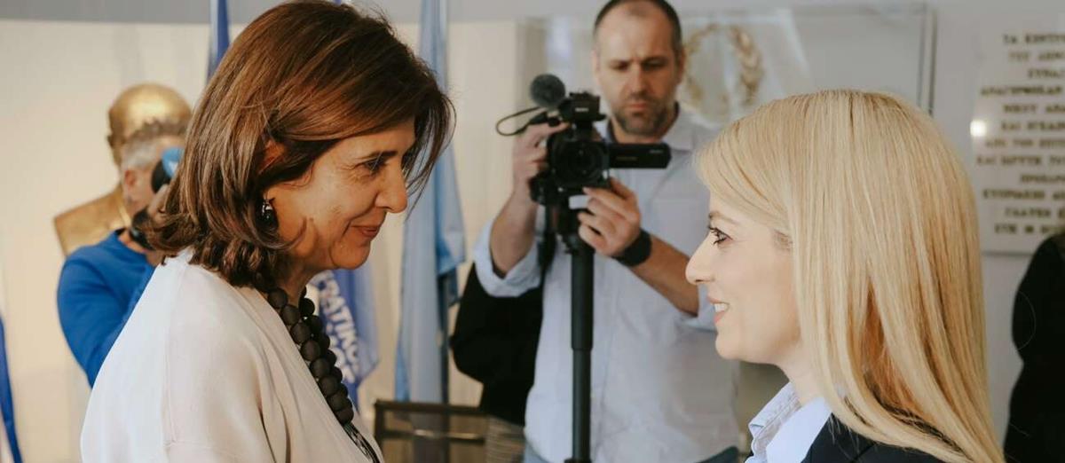 5389234856197619 cats