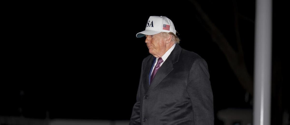 5389931503432280 cats