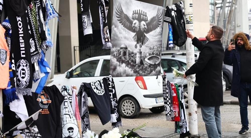 5390879385987980 cats