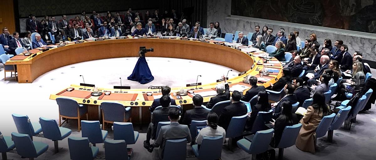 5390904456420454 cats