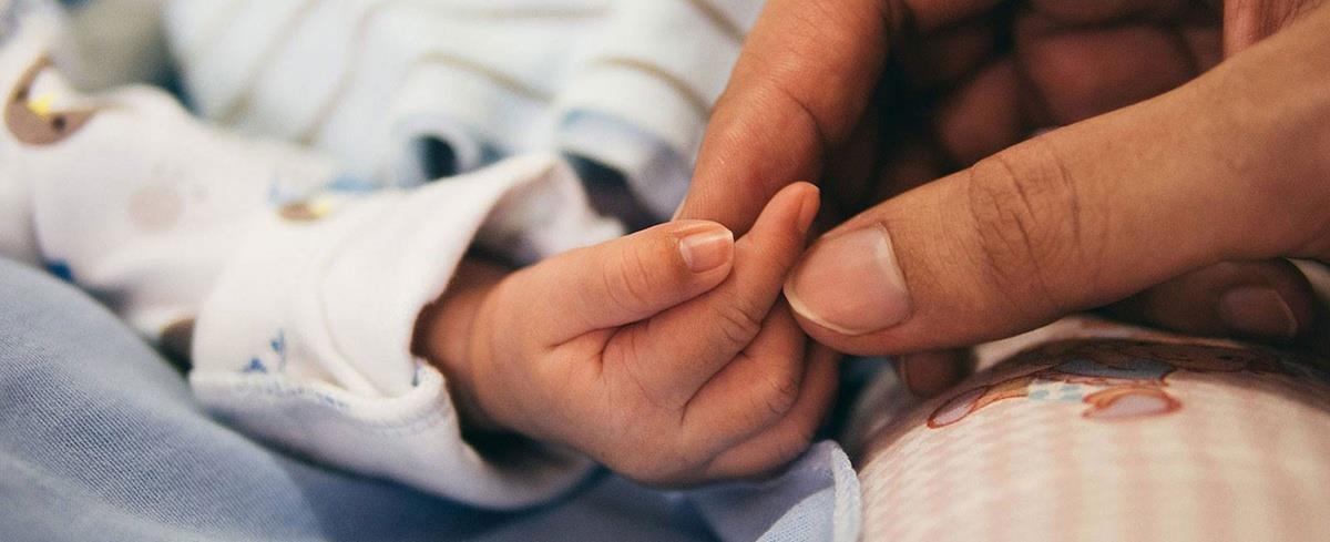 5390907512572647 cats