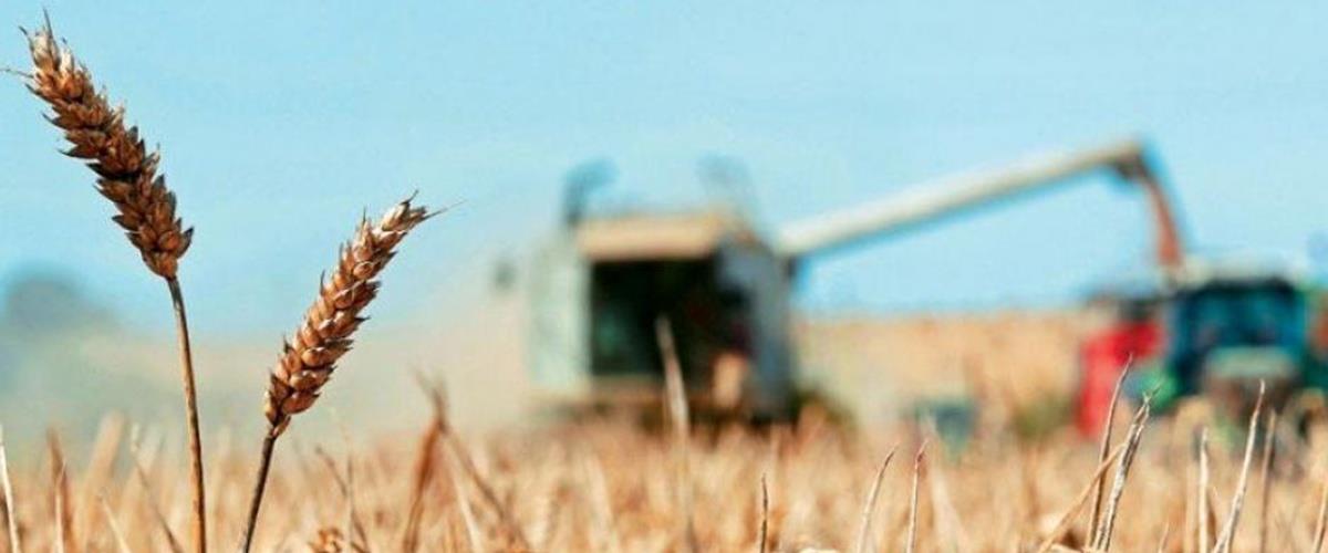 5390933938217130 cats