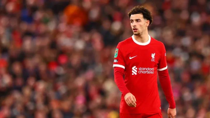 5390962264619048 image