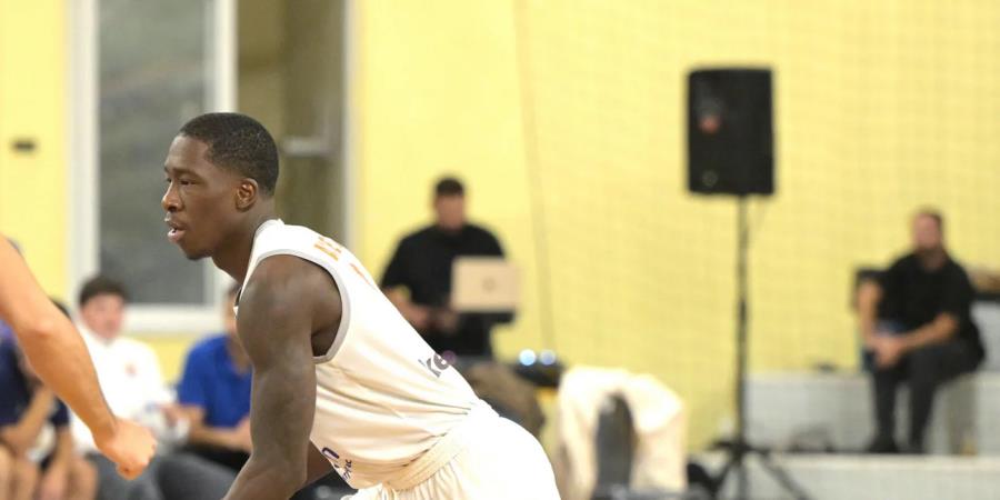 5391038793329633 image