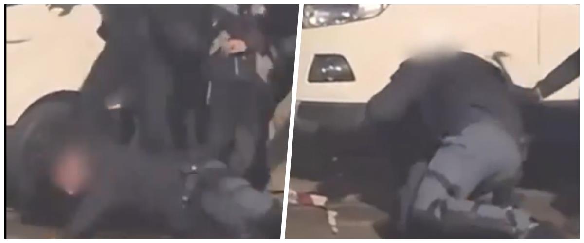 5391620432372896 collage