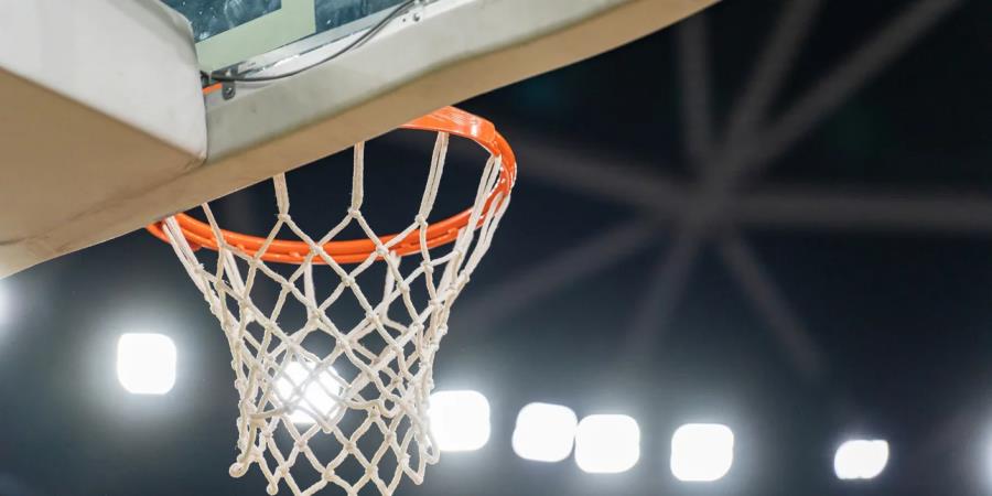 5391649629414482 image