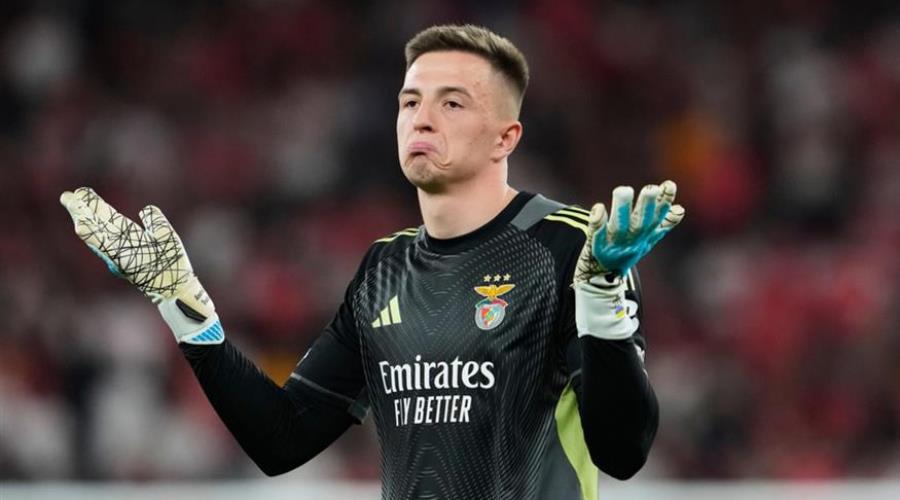 5391947999389304 image