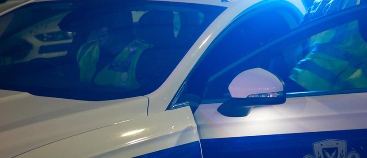 5392621732331024 113