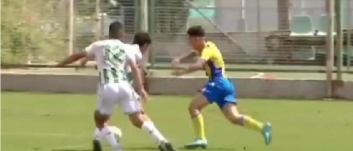 5392639087316198 cats