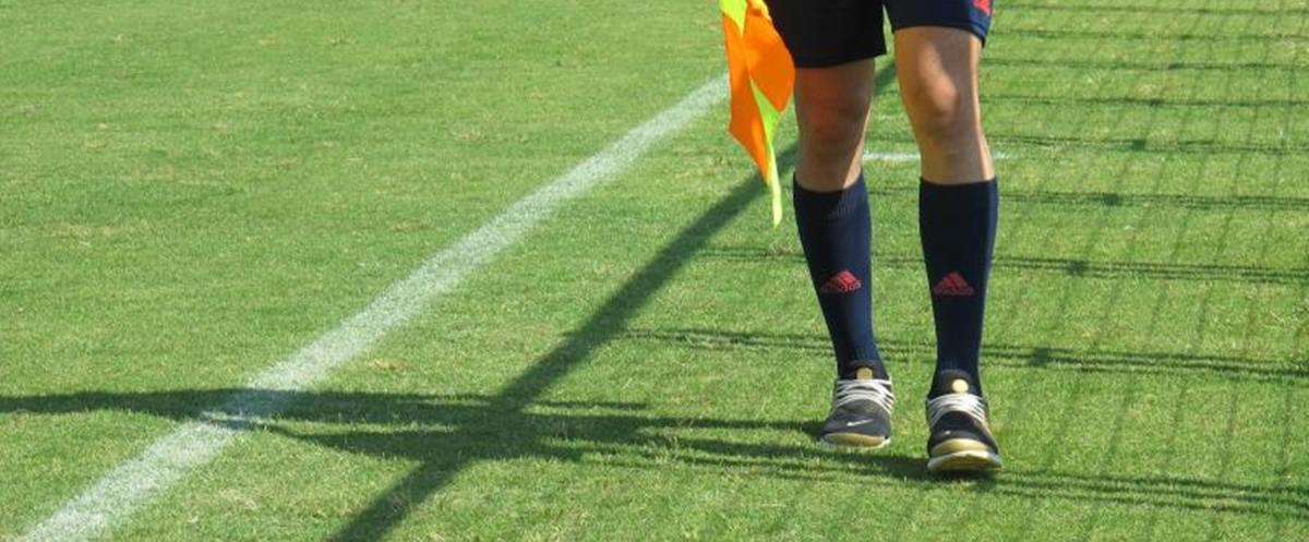 5392725700596446 cats