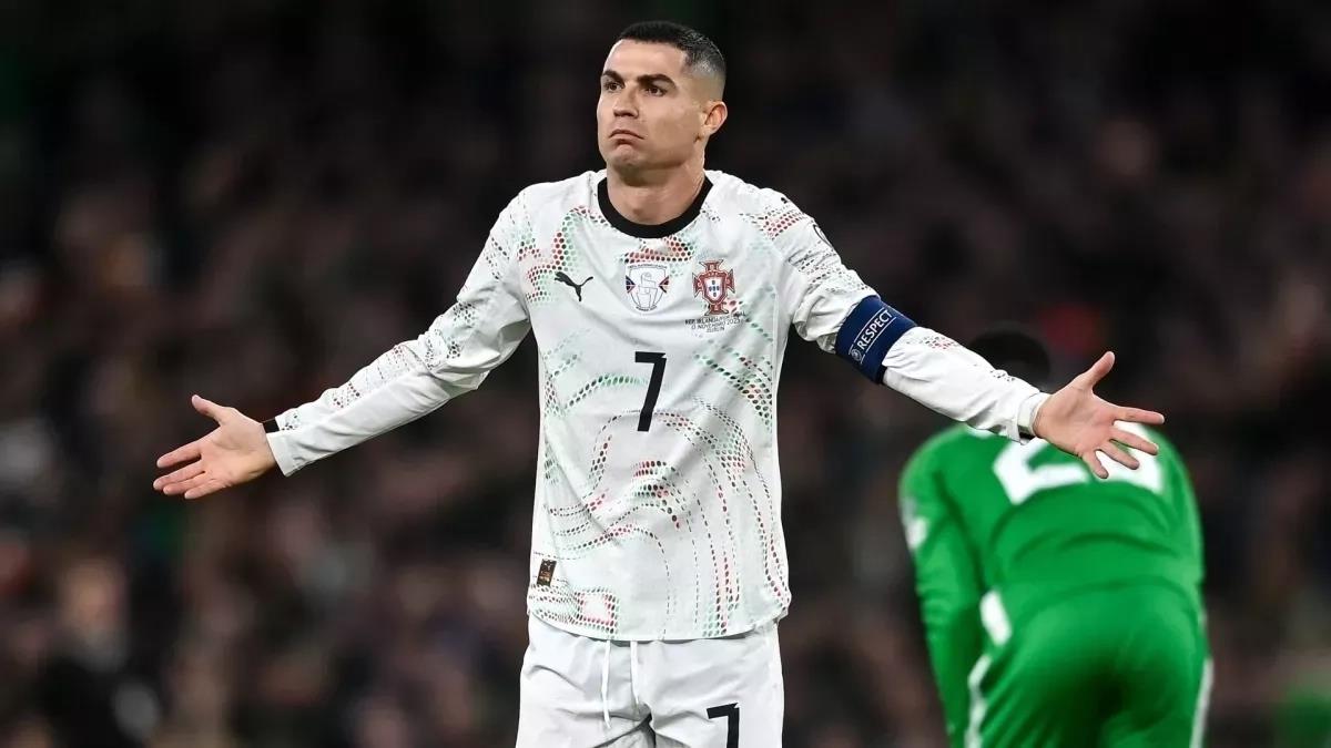 5392958522656379 image