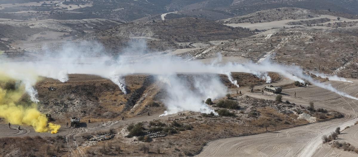 5393577595839514 cats