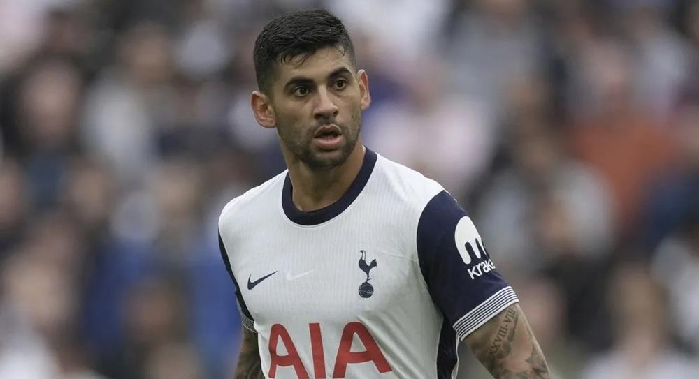 5394242310105130 cats