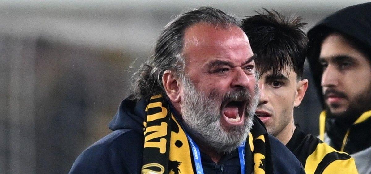 5394367919605581 cats