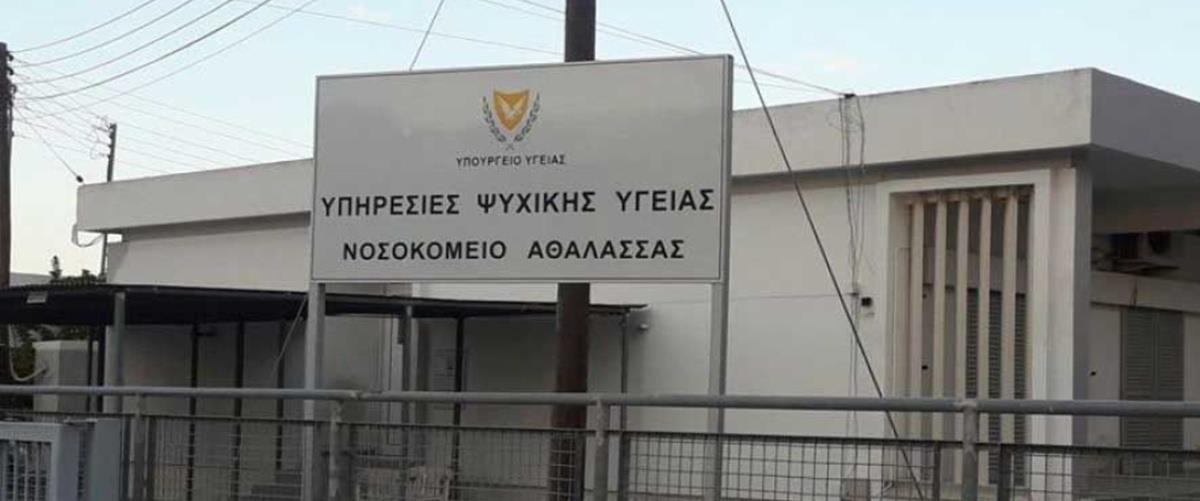 5394450850066239 cats